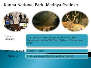 Kanha National Park, Madhya Pradesh 
Royal Bengal Tiger, Leopards, The Sloth Bear, 
Barasingha, Indian Wild Dog, Pythons, Cobras, and 
Krait 
October – April 
Distt. Mandla & Balaghat, Madhya Pradesh 
List of 
Animals: 
Best Time to Visit: 
Address: 
 