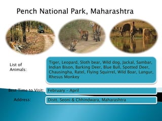 Pench National Park, Maharashtra 
Tiger, Leopard, Sloth bear, Wild dog, Jackal, Sambar, 
Indian Bison, Barking Deer, Blue Bull, Spotted Deer, 
Chausingha, Ratel, Flying Squirrel, Wild Boar, Langur, 
Rhesus Monkey 
February – April 
Distt. Seoni & Chhindwara, Maharashtra 
List of 
Animals: 
Best Time to Visit: 
Address: 
 