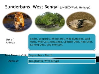 Sunderbans, West Bengal (UNESCO World Heritage) 
Tigers, Leopards, Rhinoceros, Wild Buffaloes, Wild 
Hogs, Wild Cats, Barasinga, Spotted Deer, Hog Deer, 
Barking Deer, and Monkeys 
September - March 
Bangladesh, West Bengal 
List of 
Animals: 
Best Time to Visit: 
Address: 
 