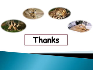 Wildlife sanctuaries  