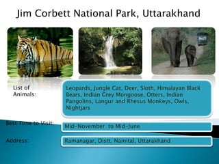 Jim Corbett National Park, Uttarakhand 
Leopards, Jungle Cat, Deer, Sloth, Himalayan Black 
Bears, Indian Grey Mongoose, Otters, Indian 
Pangolins, Langur and Rhesus Monkeys, Owls, 
Nightjars 
Mid-November to Mid-June 
Ramanagar, Distt. Nainital, Uttarakhand 
List of 
Animals: 
Best Time to Visit: 
Address: 
 