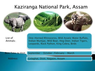 Kaziranga National Park, Assam 
One-Horned Rhinoceros, Wild Asiatic Water Buffalo, 
Indian Muntjac, Wild Boar, Hog Deer, Indian Tigers, 
Leopards, Rock Python, King Cobra, Birds 
September – October /February - March 
Golaghat, Distt. Nagaon, Assam 
List of 
Animals: 
Best Time to Visit: 
Address: 
 
