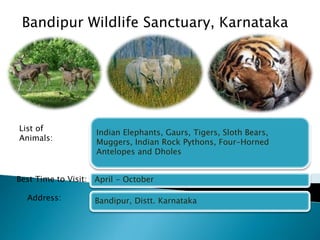 Bandipur Wildlife Sanctuary, Karnataka 
Indian Elephants, Gaurs, Tigers, Sloth Bears, 
Muggers, Indian Rock Pythons, Four-Horned 
Antelopes and Dholes 
April - October 
Bandipur, Distt. Karnataka 
List of 
Animals: 
Best Time to Visit: 
Address: 
 