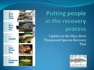 Update on the Mary River
Threatened Species Recovery
                       Plan
 