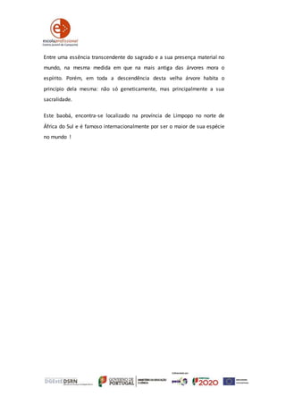 Entre uma essência transcendente do sagrado e a sua presença material no
mundo, na mesma medida em que na mais antiga das árvores mora o
espírito. Porém, em toda a descendência desta velha árvore habita o
princípio dela mesma: não só geneticamente, mas principalmente a sua
sacralidade.
Este baobá, encontra-se localizado na província de Limpopo no norte de
África do Sul e é famoso internacionalmente por ser o maior de sua espécie
no mundo !
 