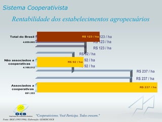 Rentabilidade dos estabelecimentos agropecuários Fonte: IBGE (1995/1996); Elaboração: GEMERC/OCB Sistema Cooperativista 