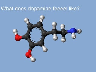 What does dopamine feeeel like?
 