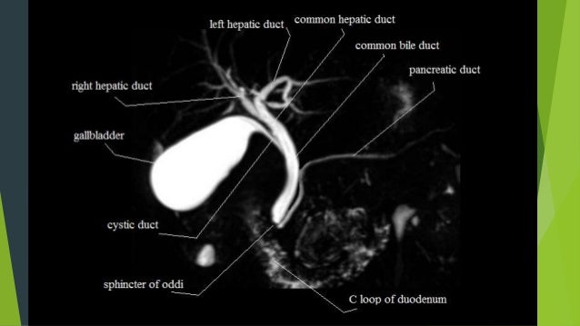 reduce jpg size how Radiology Mrcp