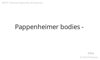 Pappenheimer bodies -
230a
MRCP Classical Diagnostics & Keywords
Dr.Sherif Badrawy
 