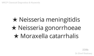 ★ Neisseria meningitidis
★ Neisseria gonorrhoeae
★ Moraxella catarrhalis
239b
MRCP Classical Diagnostics & Keywords
Dr.Sherif Badrawy
 