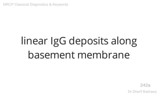 linear IgG deposits along
basement membrane
242a
MRCP Classical Diagnostics & Keywords
Dr.Sherif Badrawy
 