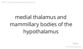 medial thalamus and
mammillary bodies of the
hypothalamus
255a
MRCP Classical Diagnostics & Keywords
Dr.Sherif Badrawy
 