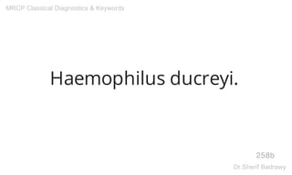 Haemophilus ducreyi.
258b
MRCP Classical Diagnostics & Keywords
Dr.Sherif Badrawy
 