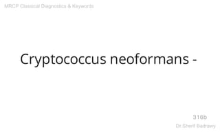 Cryptococcus neoformans -
316b
MRCP Classical Diagnostics & Keywords
Dr.Sherif Badrawy
 