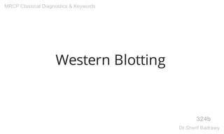 Western Blotting
324b
MRCP Classical Diagnostics & Keywords
Dr.Sherif Badrawy
 