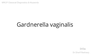 Gardnerella vaginalis
343a
MRCP Classical Diagnostics & Keywords
Dr.Sherif Badrawy
 