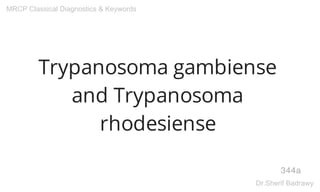 Trypanosoma gambiense
and Trypanosoma
rhodesiense
344a
MRCP Classical Diagnostics & Keywords
Dr.Sherif Badrawy
 