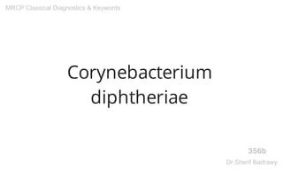 Corynebacterium
diphtheriae
356b
MRCP Classical Diagnostics & Keywords
Dr.Sherif Badrawy
 