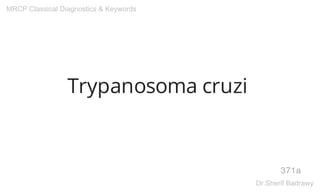 Trypanosoma cruzi
371a
MRCP Classical Diagnostics & Keywords
Dr.Sherif Badrawy
 