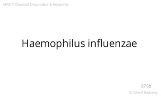 Haemophilus influenzae
373b
MRCP Classical Diagnostics & Keywords
Dr.Sherif Badrawy
 