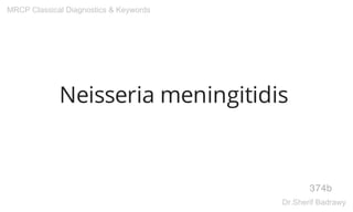 Neisseria meningitidis
374b
MRCP Classical Diagnostics & Keywords
Dr.Sherif Badrawy
 