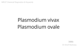Plasmodium vivax
Plasmodium ovale
388b
MRCP Classical Diagnostics & Keywords
Dr.Sherif Badrawy
 