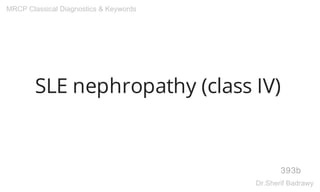 SLE nephropathy (class IV)
393b
MRCP Classical Diagnostics & Keywords
Dr.Sherif Badrawy
 