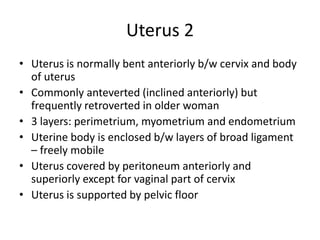 Uterus 2
• Uterus is normally bent anteriorly b/w cervix and body
  of uterus
• Commonly anteverted (inclined anteriorly) but
  frequently retroverted in older woman
• 3 layers: perimetrium, myometrium and endometrium
• Uterine body is enclosed b/w layers of broad ligament
  – freely mobile
• Uterus covered by peritoneum anteriorly and
  superiorly except for vaginal part of cervix
• Uterus is supported by pelvic floor
 