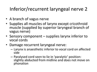 Inferior/recurrent laryngeal nerve 2
• A branch of vagus nerve
• Supplies all muscles of larynx except cricothroid
  muscle (supplied by superior laryngeal branch of
  vagus nerve)
• Sensory component – supplies larynx inferior to
  vocal cords
• Damage recurrent laryngeal nerve:
  – Larynx is anaesthetic inferior to vocal cord on affected
    side
  – Paralysed cord seen to lie in ‘paralytic’ position:
    slightly abducted from midline and does not move on
    phonation
 
