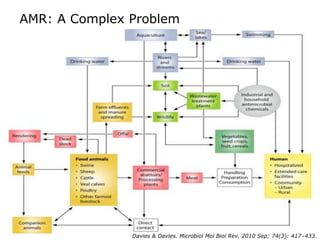 Tackling AMR - new ways of working | PPTX