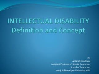 INTELLECTUAL DISABILITY DEFINITION SPECIAL EDUCATION visual data 5