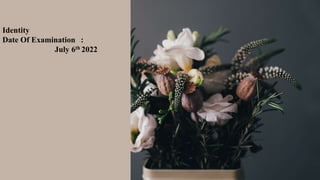 Identity
Date Of Examination :
July 6th 2022
 