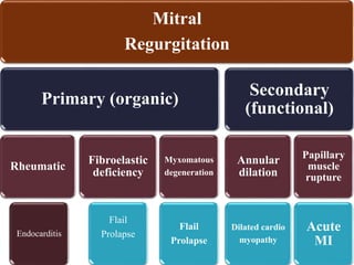 ECHOCARDIOGRAPHIC EVALUATION OF MITRAL VALVE DISEASE -MITRAL REGURGITATION