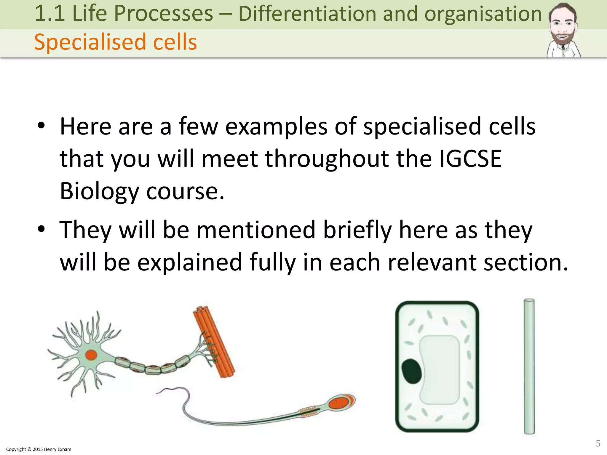 Mr Exham IGCSE - Cell Differentiation and Organisation | PPTX