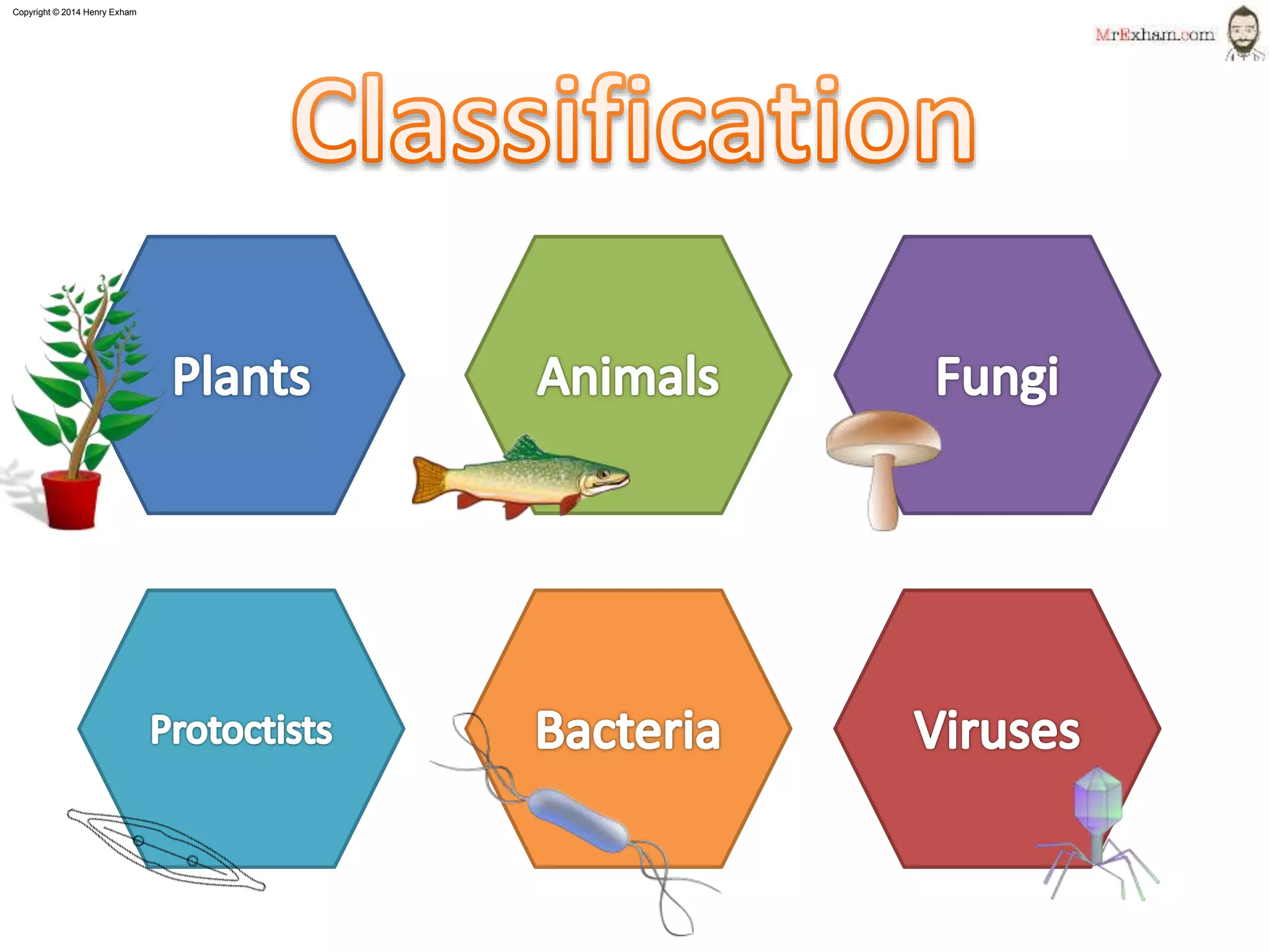 Mr exham igcse classification ppt