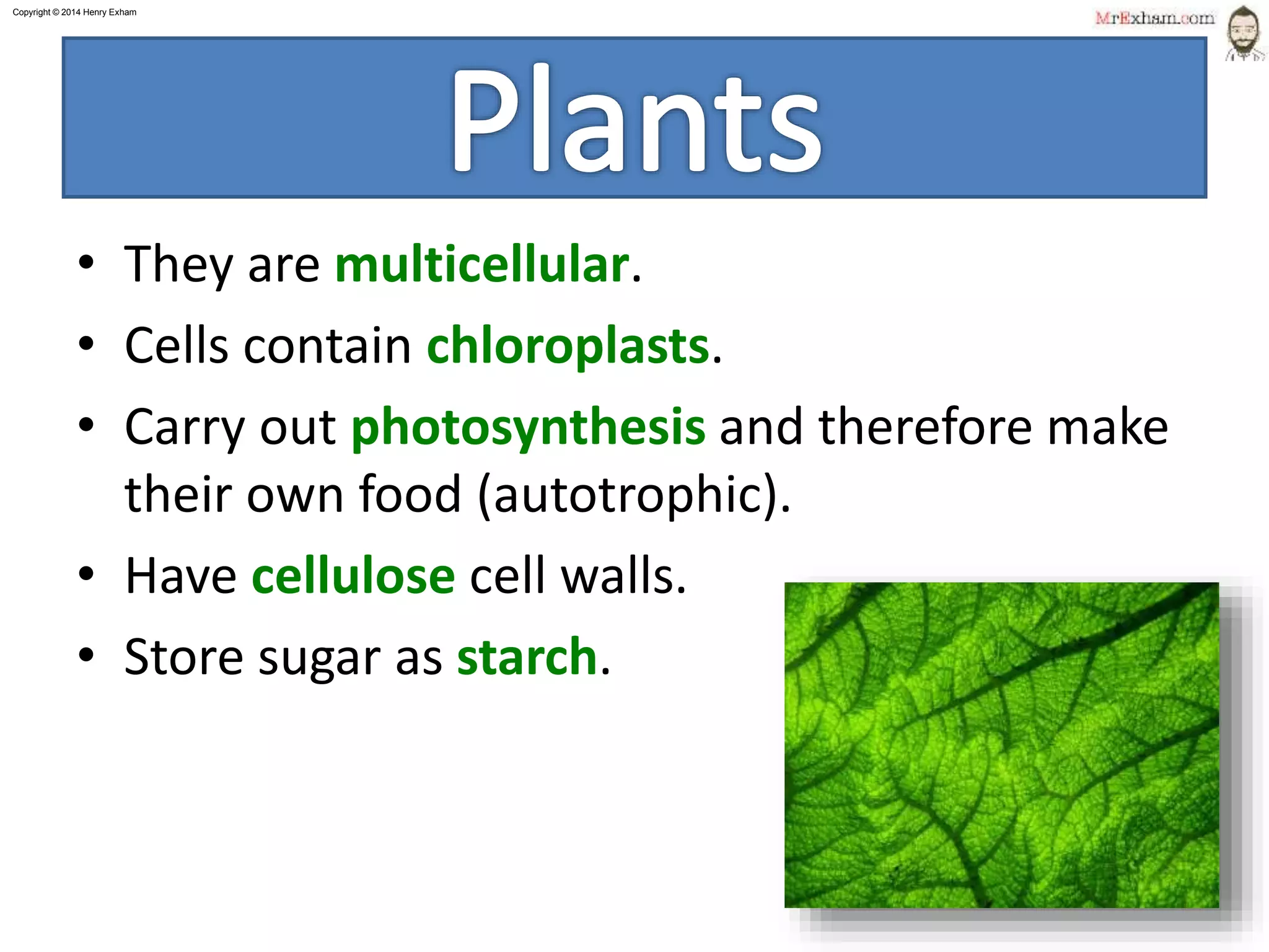 Copyright © 2015 Henry Exham
1.2 Classification– The Variety of Living Organisms
Plants
5
• They are multicellular.
• Cells contain chloroplasts.
• Carry out photosynthesis and therefore make
their own food (autotrophic).
• Have cellulose cell walls.
• Store sugar as starch.
 