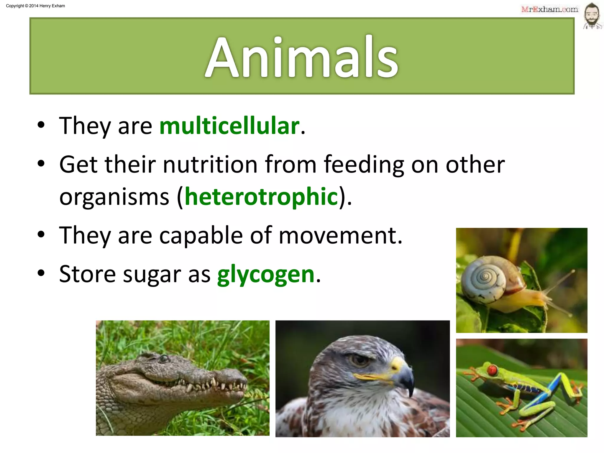 Mr exham igcse classification ppt