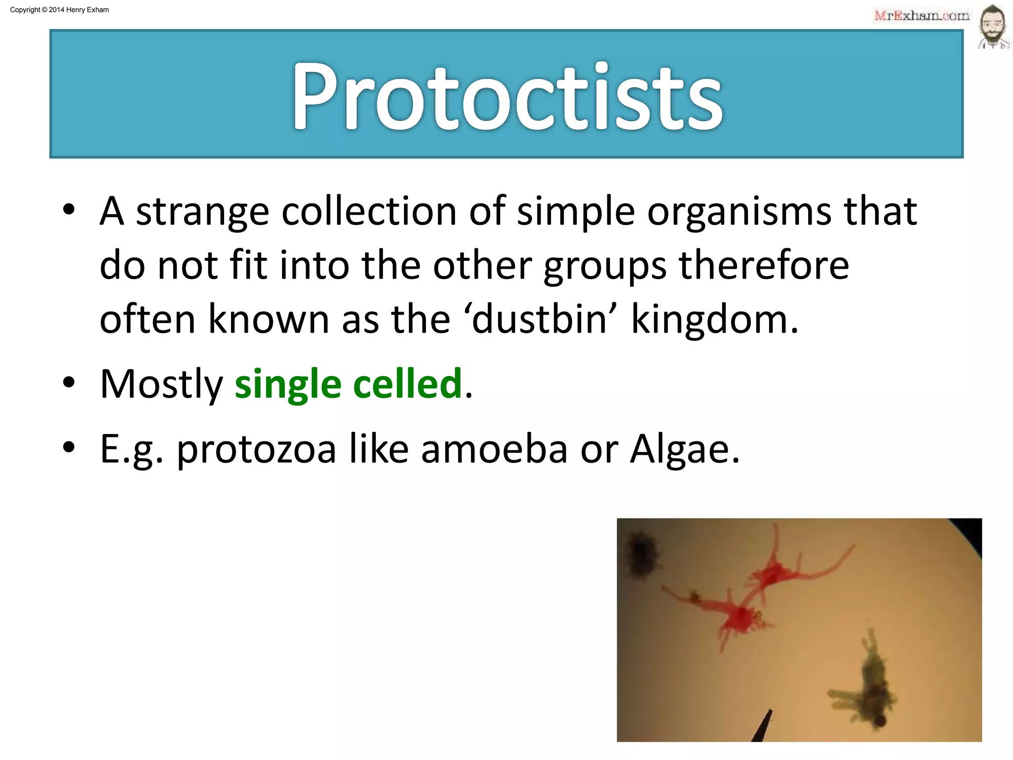 Copyright © 2015 Henry Exham
1.2 Classification– The Variety of Living Organisms
Protoctists
8
• A strange collection of simple organisms that
do not fit into the other groups therefore
often known as the ‘dustbin’ kingdom.
• Mostly single celled.
• E.g. protozoa like amoeba or Algae.
 