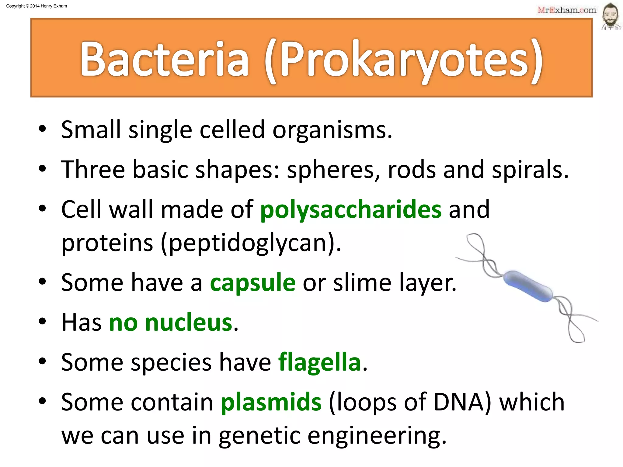 Mr exham igcse classification ppt