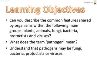 Copyright © 2015 Henry Exham
1.2 Classification– The Variety of Living Organisms
Objectives
2
• Can you describe the common features shared
by organisms within the following main
groups: plants, animals, fungi, bacteria,
protoctists and viruses?
• What does the term ‘pathogen’ mean?
• Understand that pathogens may be fungi,
bacteria, protoctists or viruses.
 
