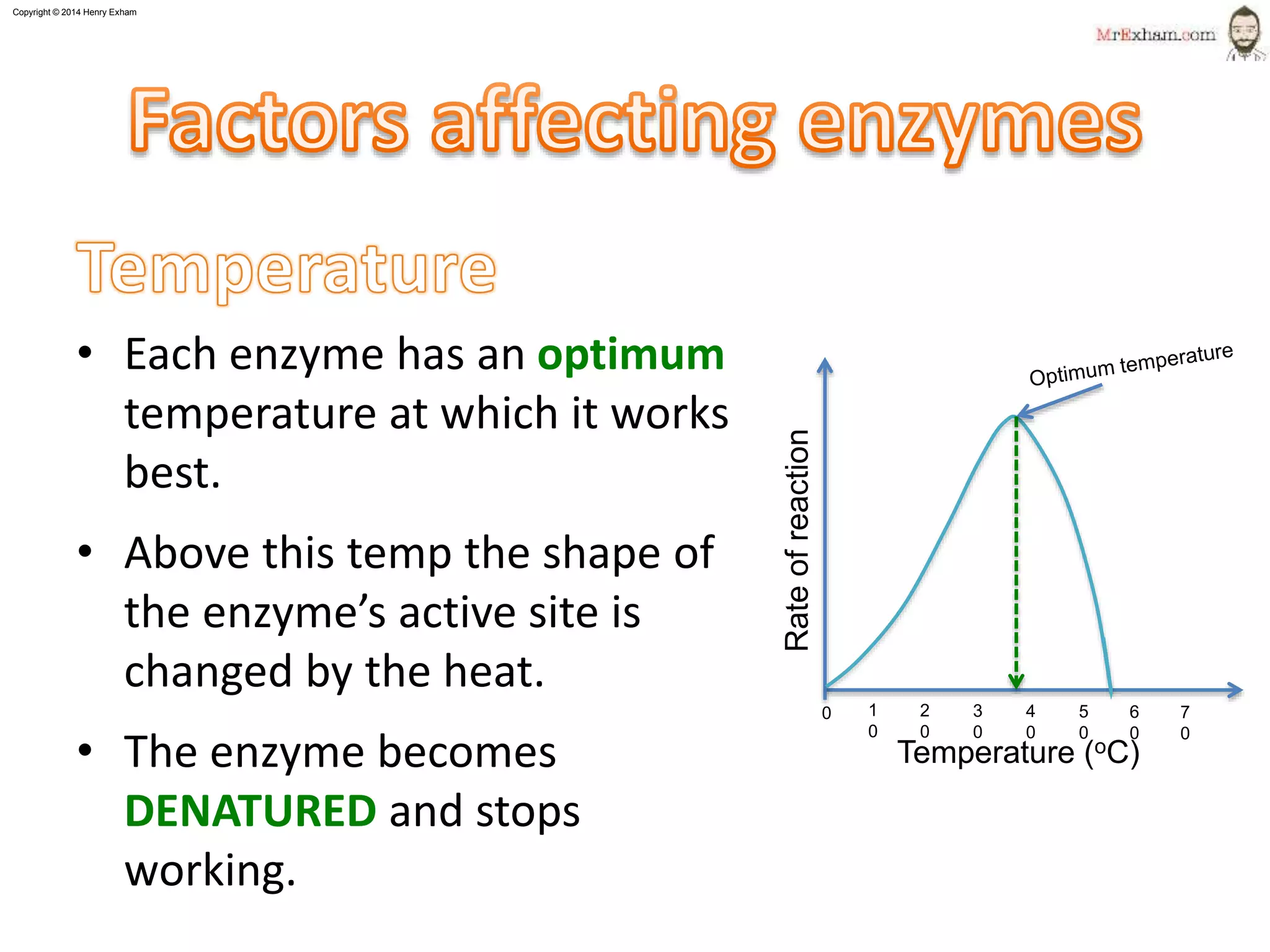 Copyright © 2015 Henry Exham
10
1.1 Life Processes - Enzymes
Factors affecting enzymes
• Each enzyme has an optimum
temperature at which it works
best.
• Above this temp the shape of the
enzyme’s active site is changed
by the heat.
• The enzyme becomes
DENATURED and stops working.
0 1
0
2
0
3
0
4
0
5
0
6
0
7
0
Temperature (oC)
Rateofreaction
 