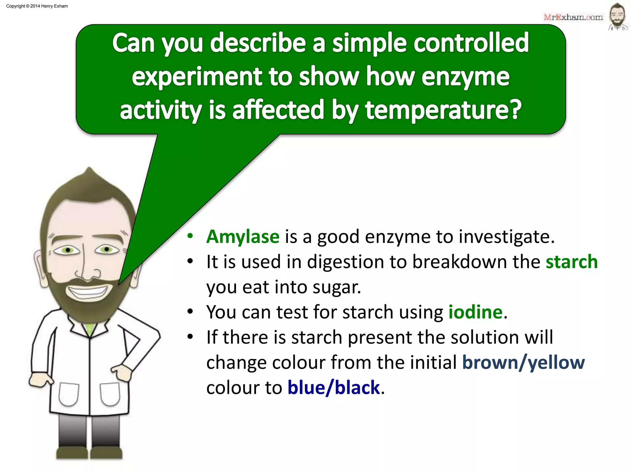 Copyright © 2015 Henry Exham
12
1.1 Life Processes - Enzymes
Factors affecting enzymes
Can you describe a simple controlled experiment to
show how enzyme activity is affected by
temperature?
• Amylase is a good enzyme to investigate.
• It is used in digestion to breakdown the starch
you eat into sugar.
• You can test for starch using iodine.
• If there is starch present the solution will
change colour from the initial brown/yellow
colour to blue/black.
 
