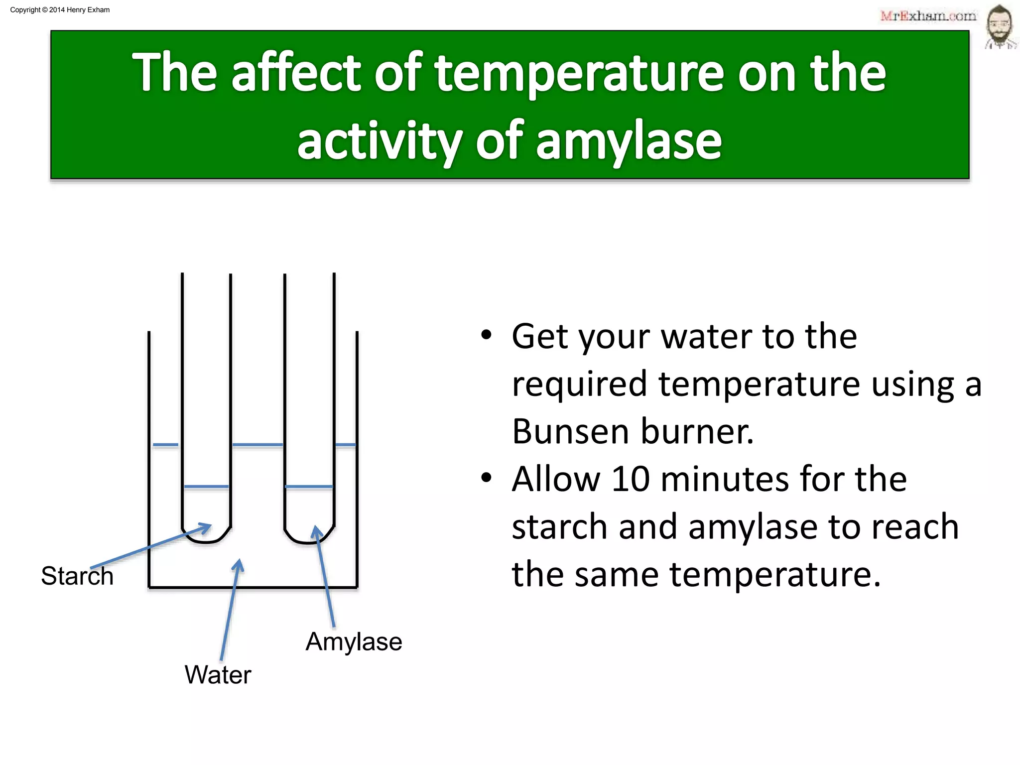 Copyright © 2015 Henry Exham
13
1.1 Life Processes - Enzymes
Factors affecting enzymes
 