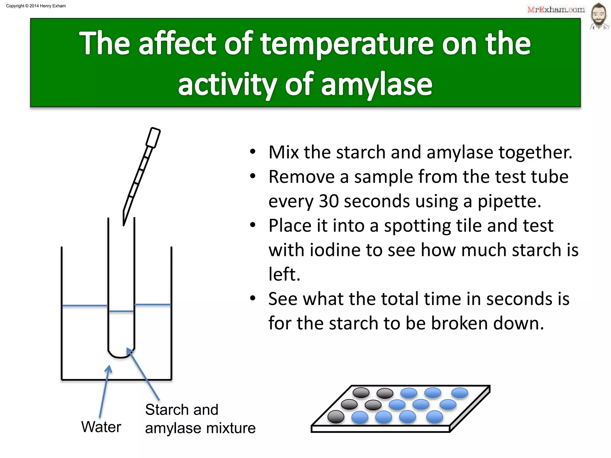Copyright © 2015 Henry Exham
14
1.1 Life Processes - Enzymes
Factors affecting enzymes
 