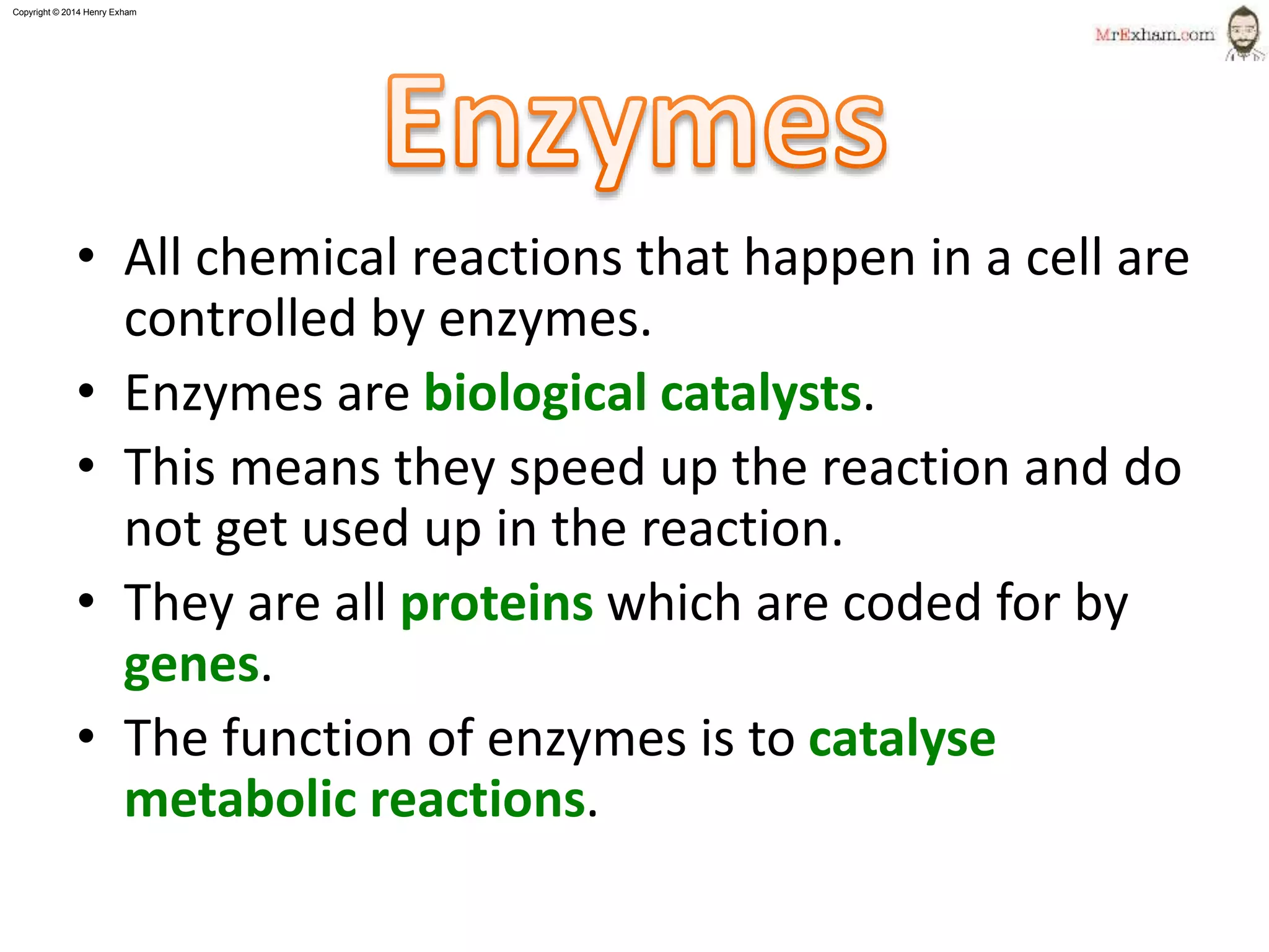 Copyright © 2015 Henry Exham
• All chemical reactions that happen in a cell are
controlled by enzymes.
• Enzymes are biological catalysts.
• This means they speed up the reaction and do
not get used up in the reaction.
• They are all proteins which are coded for by
genes.
• The function of enzymes is to catalyse
metabolic reactions.
3
1.1 Life Processes - Enzymes
What are enzymes?
 