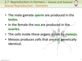 IGCSE Biology - Sexual and Asexual Reproduction