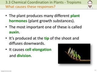 IGCSE Biology - Chemical Coordination in Plants | PPTX