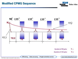 MREX (NMR Logging) | PDF