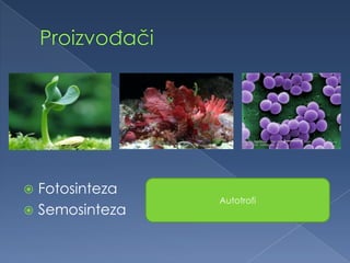  Fotosinteza
 Semosinteza
Autotrofi
 