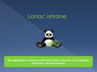 Niz organizama u kome je svaki član karika i povezan je sa susednim
članovima odnosom ishrane.
 